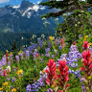 Meet your Posher, Sienna